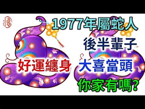 1977年屬蛇|1977年是苦命蛇还是富蛇，77年属蛇的命运如何